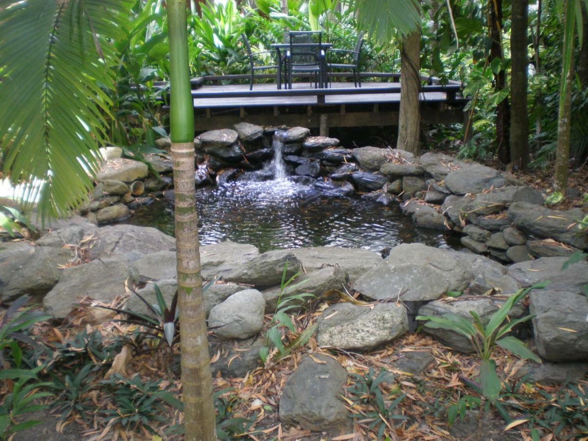 Hidden Gem @ Palm Cove Appartement Buitenkant foto